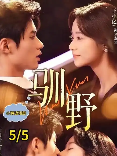 8090电影网《回声档案》剧集海报